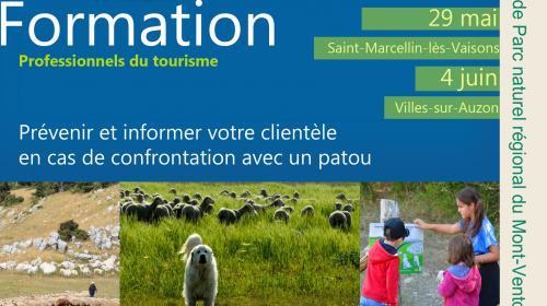 flyer_formation_chien_de_protection_de_troupeau.jpg